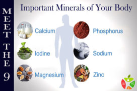 Meet 9 Important Minerals Body 272x182 