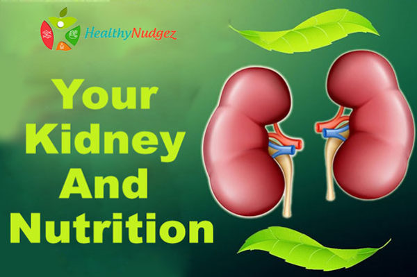 Your Kidney and Nutrition - Best Dietician in Delhi